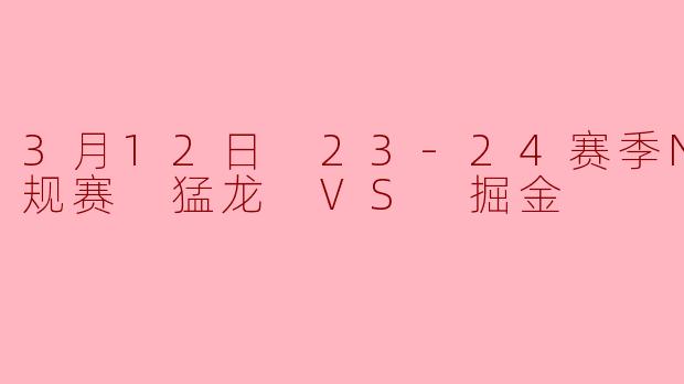 3月12日 23-24赛季NBA常规赛 猛龙 VS 掘金